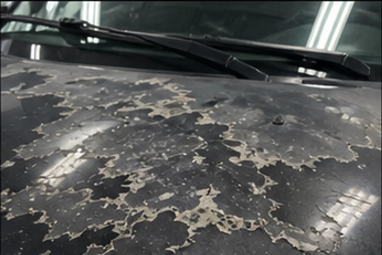 UV clear coat failure